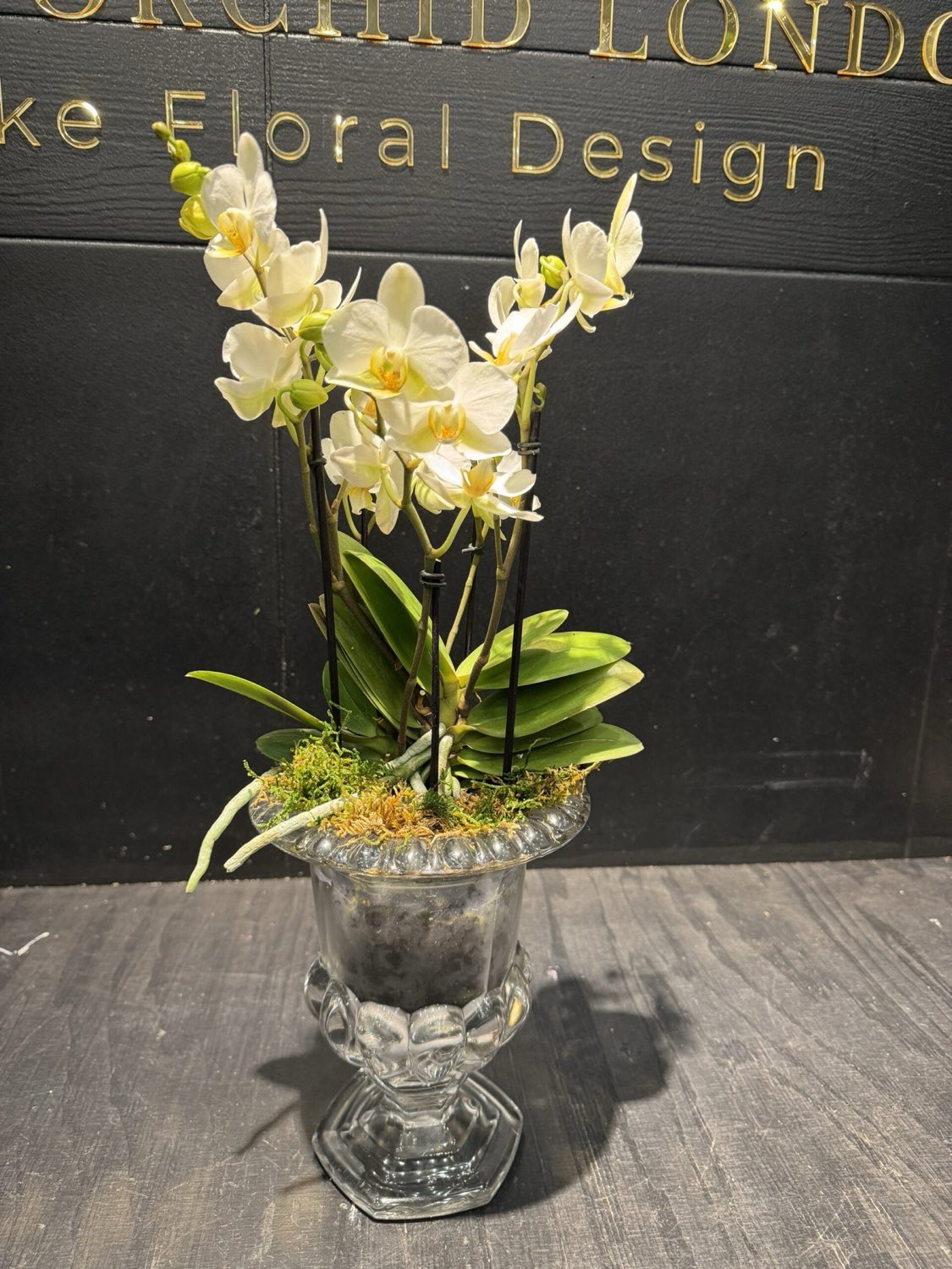 Silk Orchid Arrangements