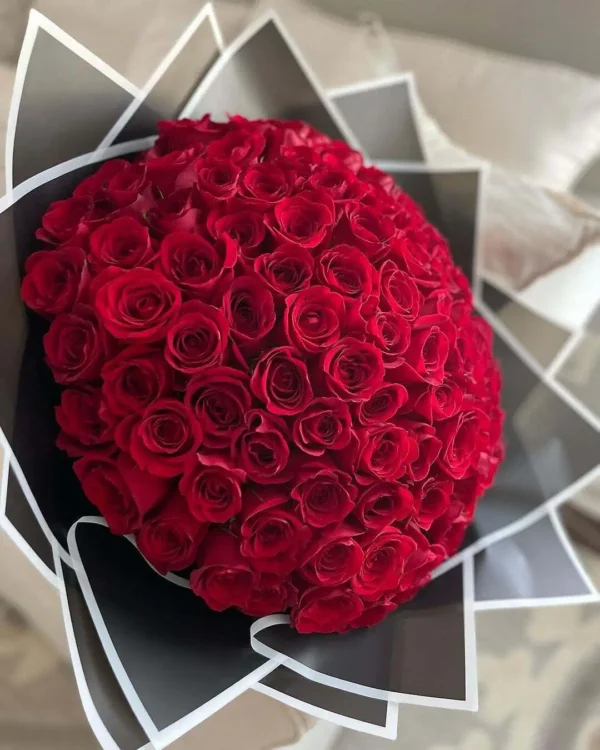 Amour red rose