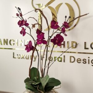 Royal Purple lili flower golden pot