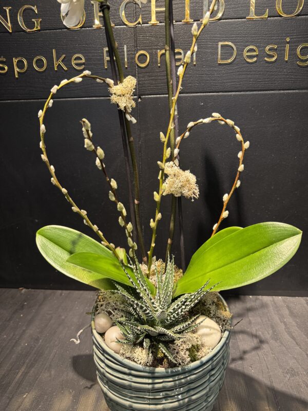 Orchid and succulent - Image 3