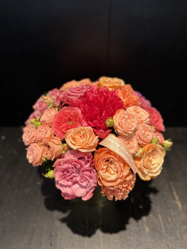 Bloom in Box - Image 2