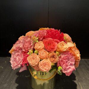 Bloom in Box