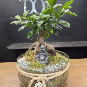 Zen Bonsai