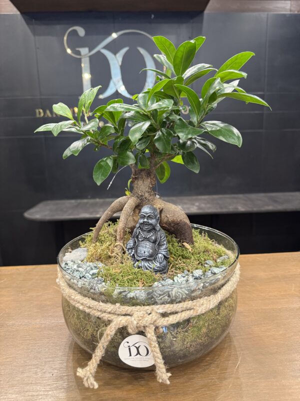 Zen Bonsai