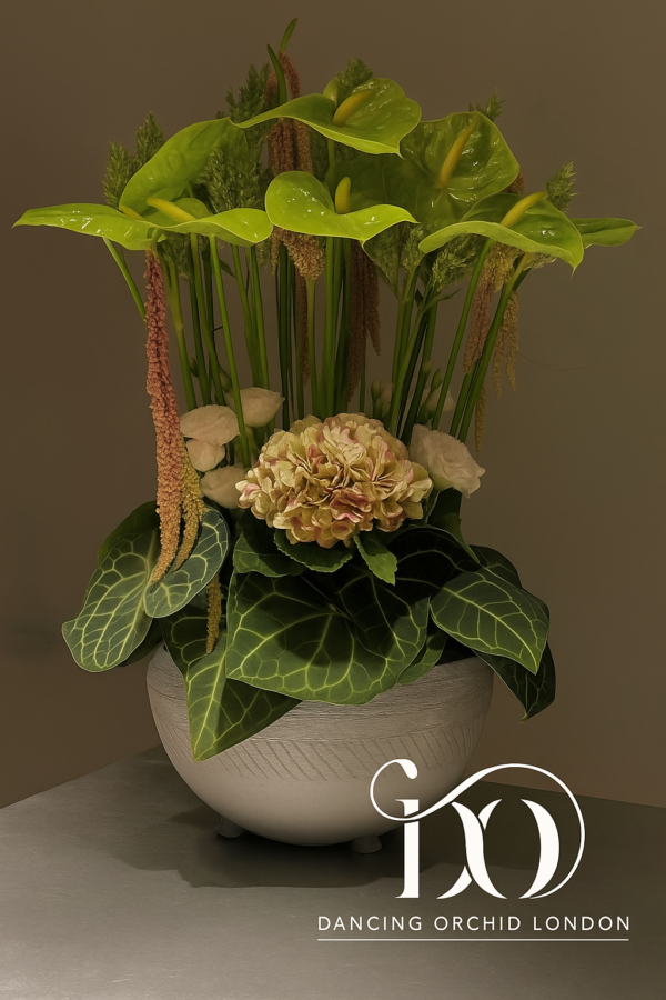 Anthurium Bloom