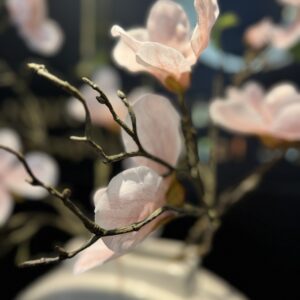 Magnolia arrangement