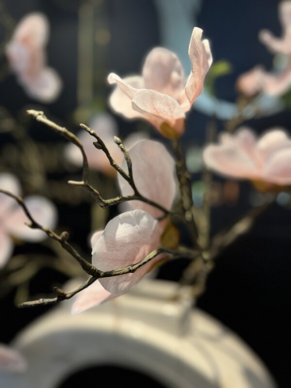 Magnolia arrangement