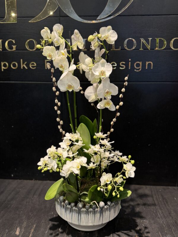 Heaven’s orchid - Image 2